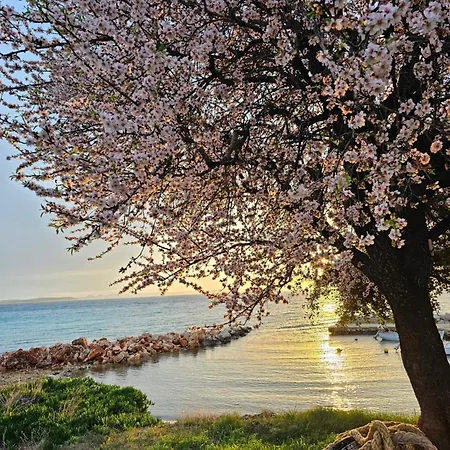 Robinson House Mimo Дом отдыха Nevidane