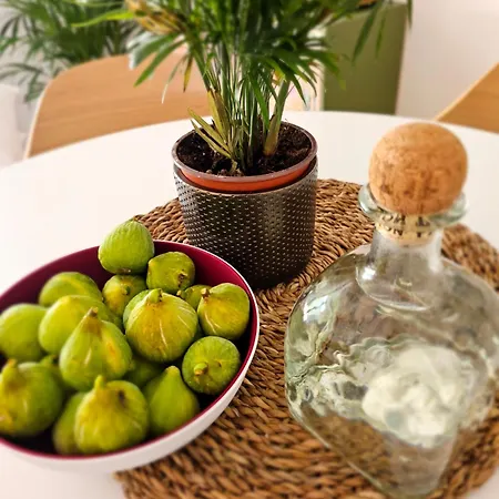 Robinson House Mimo Neviđane