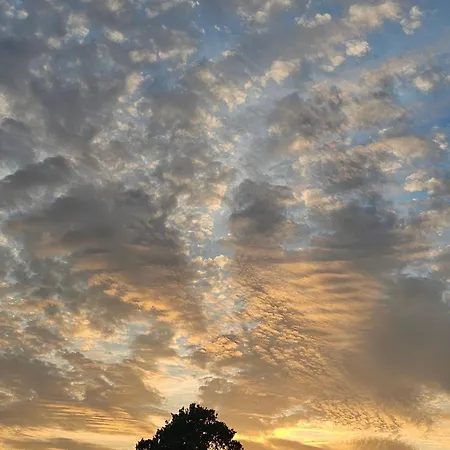 Robinson House Mimo Neviđane