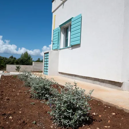 Robinson House Mimo Nevidane