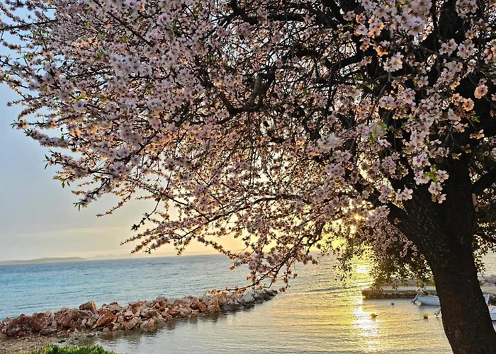 Robinson House Mimo Semesterbostad Neviđane