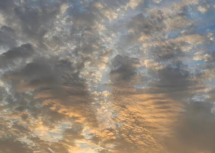 Robinson House Mimo Neviđane