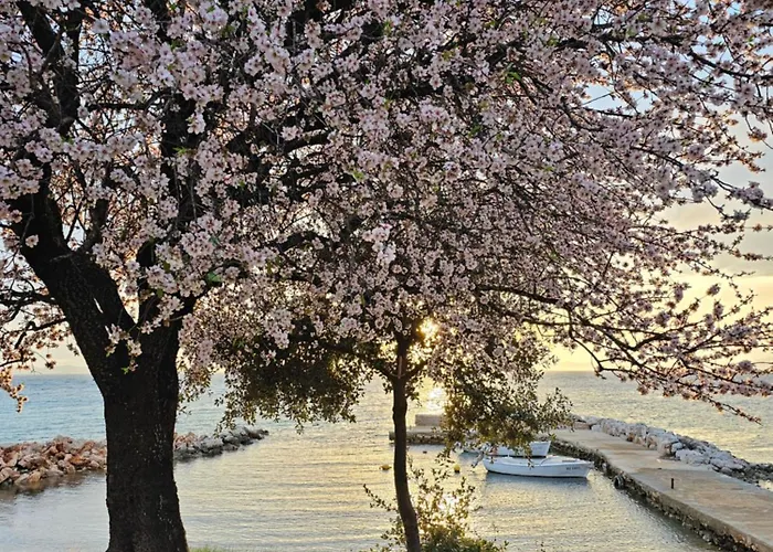 Robinson House Mimo Semesterbostad Neviđane