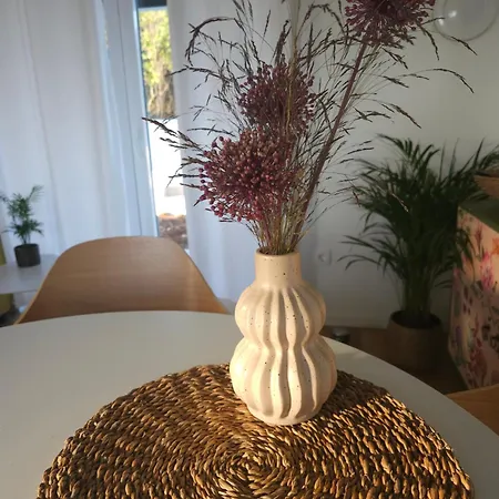 Robinson House Mimo Feriehus *