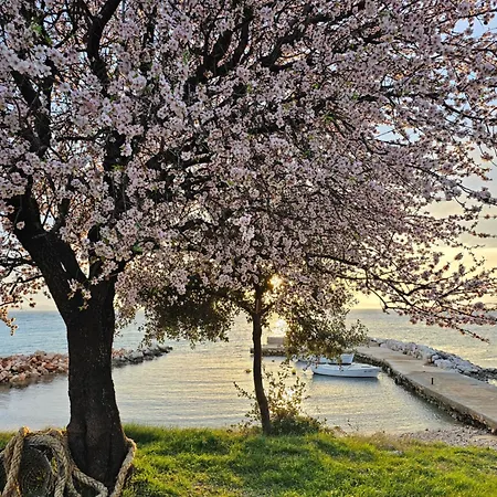 Robinson House Mimo Feriehus Neviđane