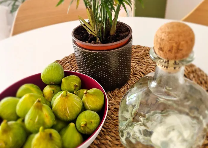 Robinson House Mimo Neviđane